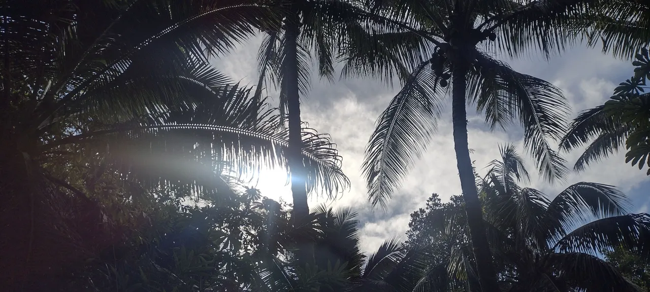 IMG_20231209_092321584_HDR.jpg