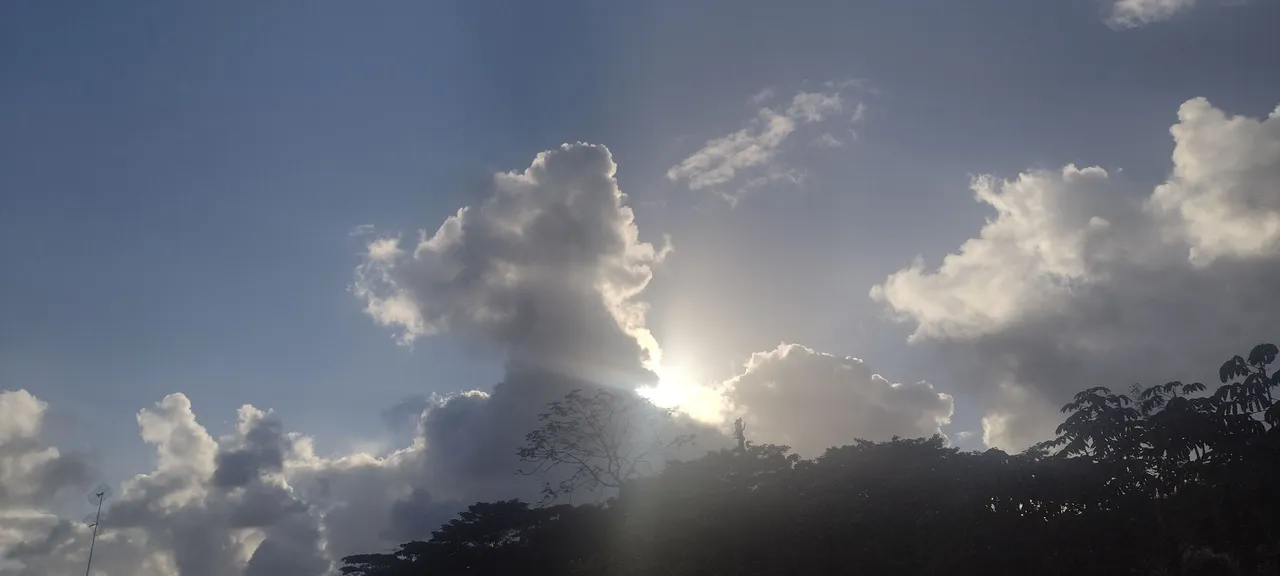 IMG_20221119_162838510_HDR.jpg