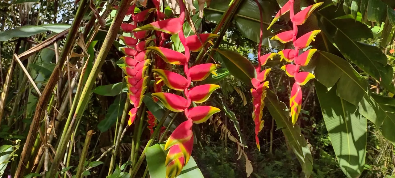 IMG_20230709_085108878_HDR.jpg