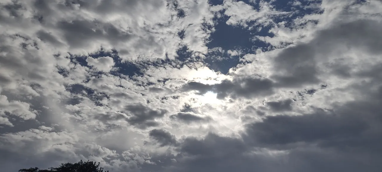 IMG_20221219_094134526_HDR.jpg