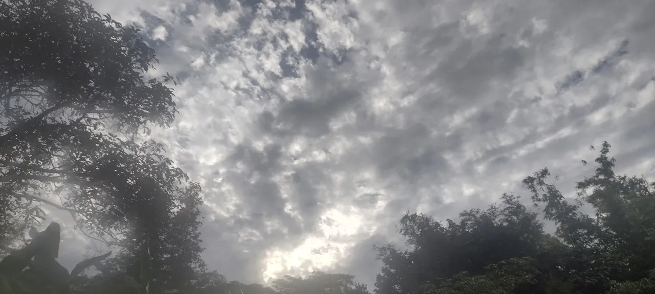 IMG_20221027_165218863_HDR.jpg