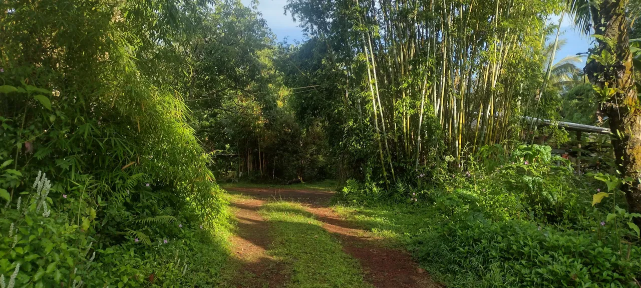 IMG_20230630_070729124_HDR.jpg