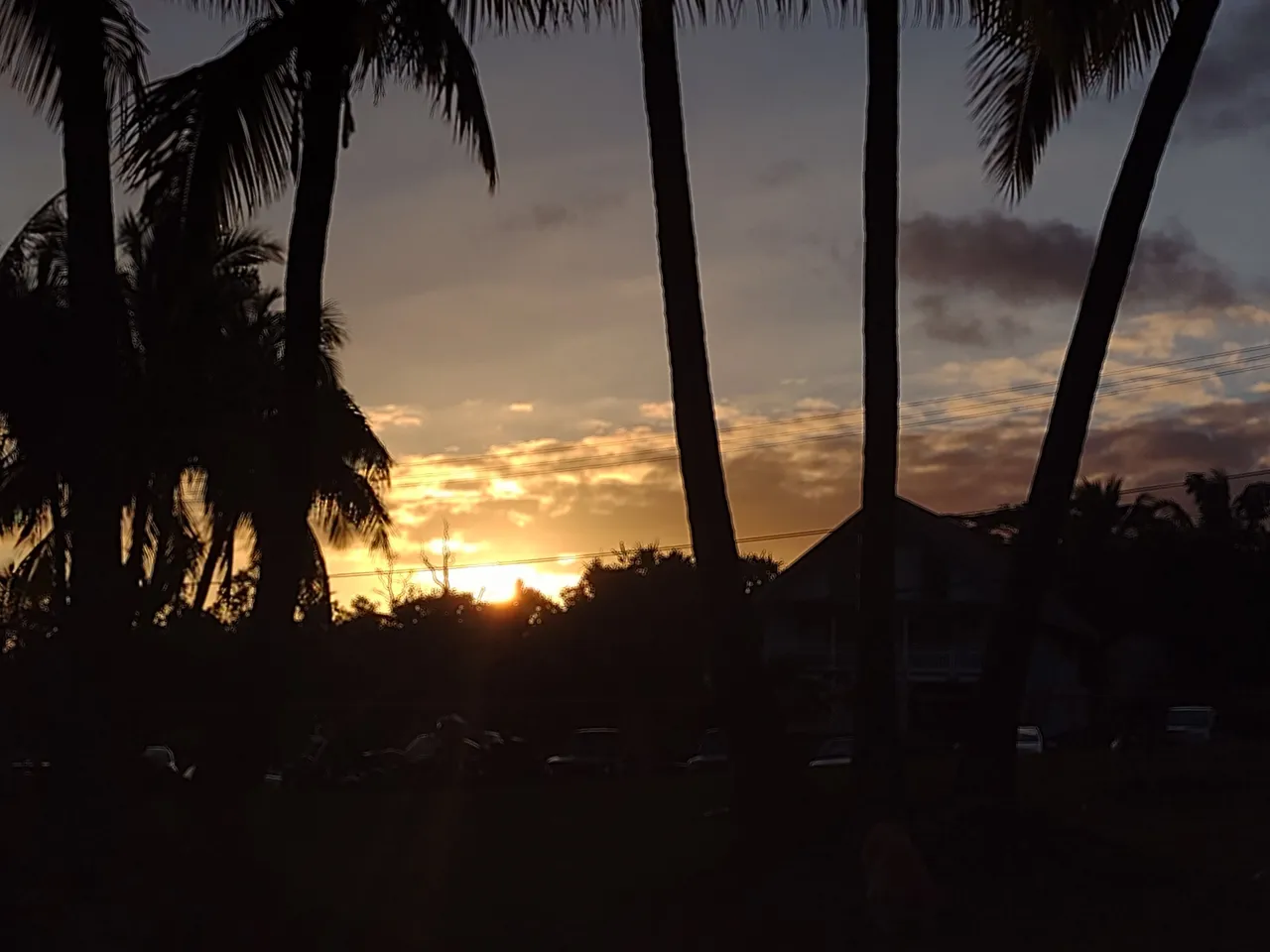 IMG_20220220_180240175.jpg