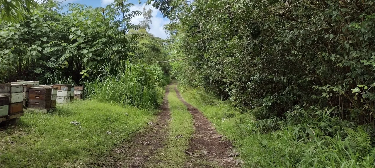 IMG_20230705_144555039_HDR.jpg