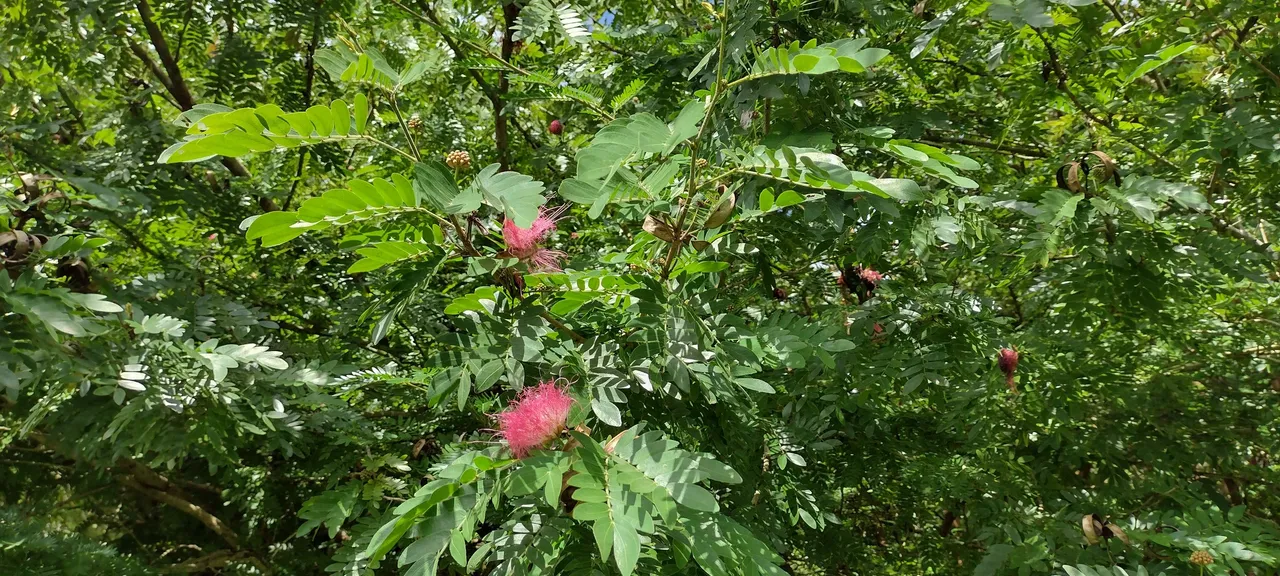 IMG_20220525_143827129_HDR.jpg