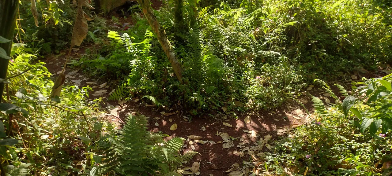 IMG_20240129_094942834_HDR.jpg