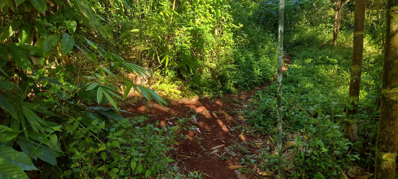 IMG_20231006_083130435_HDR.jpg