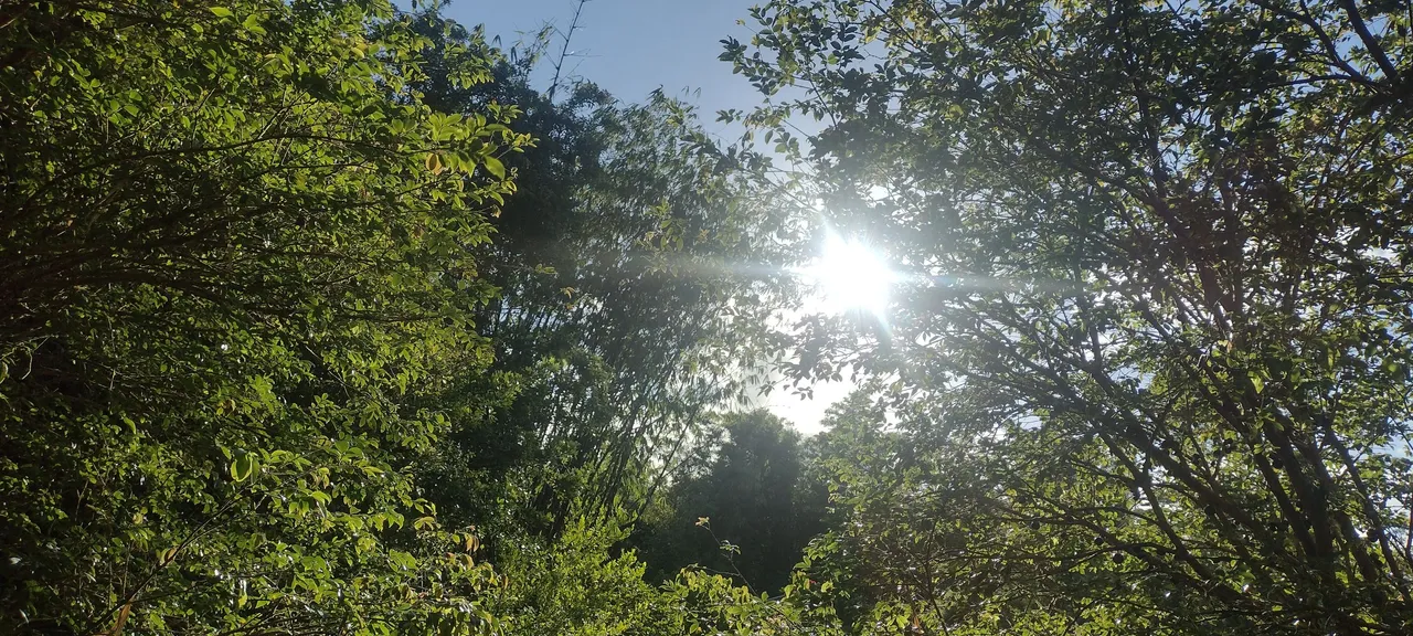IMG_20230701_172539186_HDR.jpg