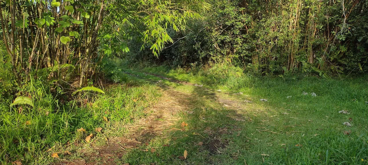 IMG_20231027_162325506_HDR.jpg