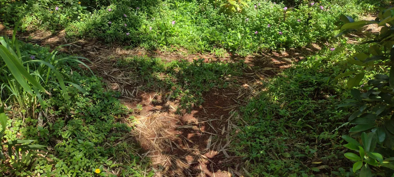 IMG_20230918_103459608_HDR.jpg
