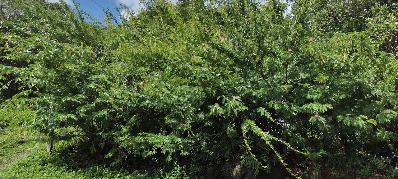 IMG_20220525_143816504_HDR.jpg