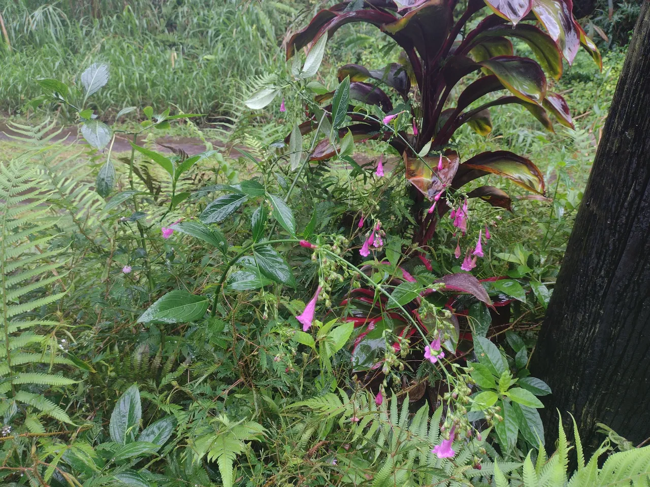 IMG_20220302_170352243.jpg