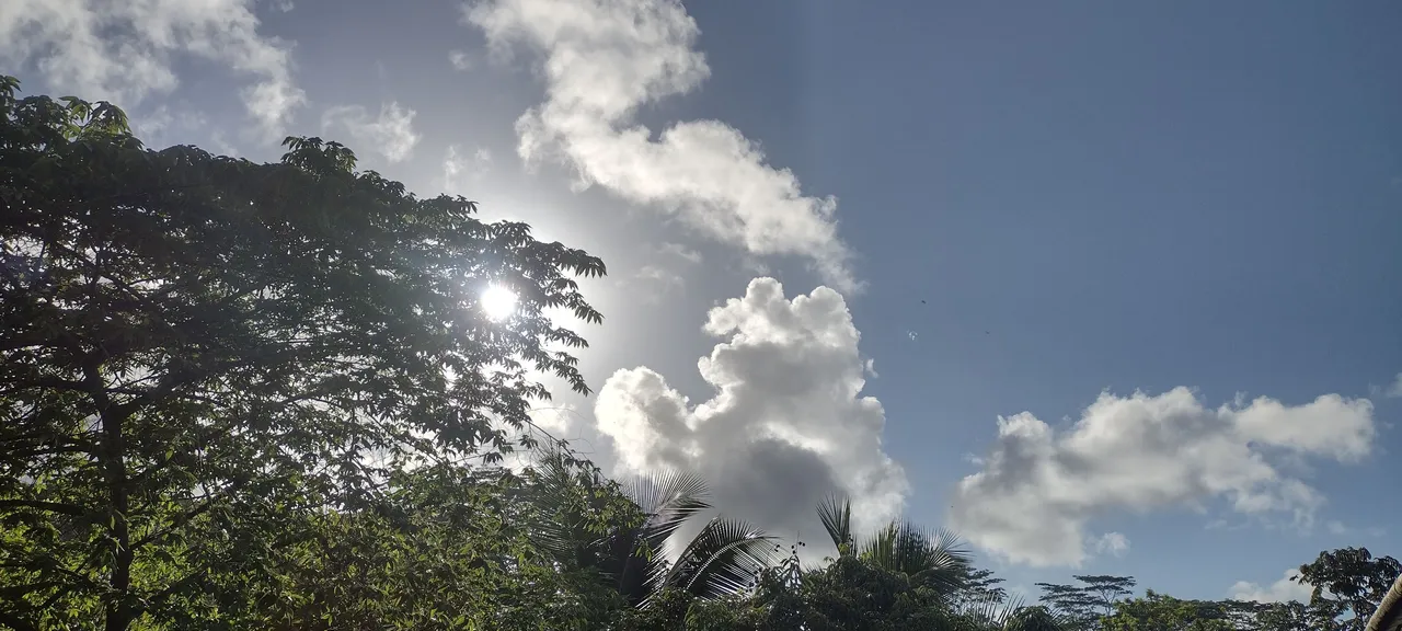 IMG_20230422_165939300_HDR.jpg