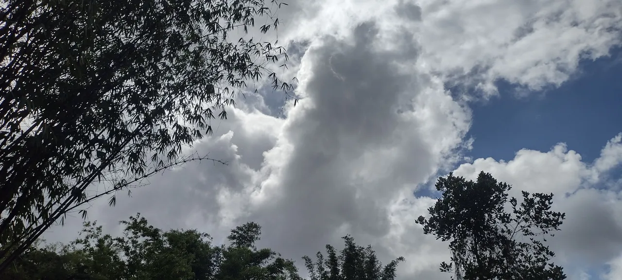 IMG_20230710_153527279_HDR.jpg