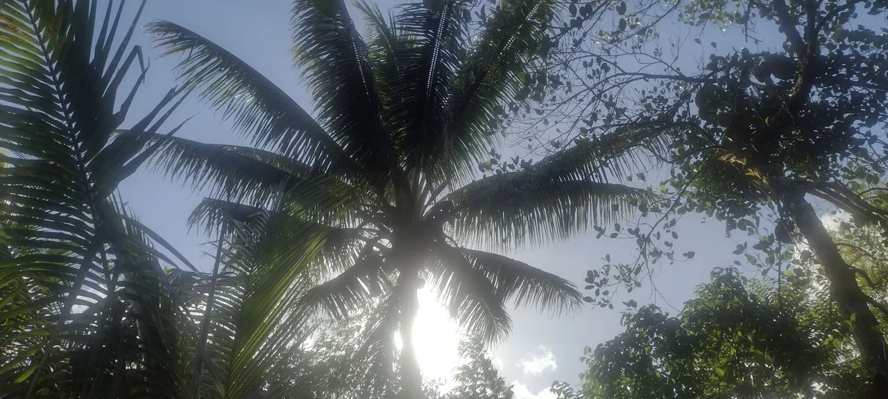 IMG_20230831_164115721_HDR.jpg