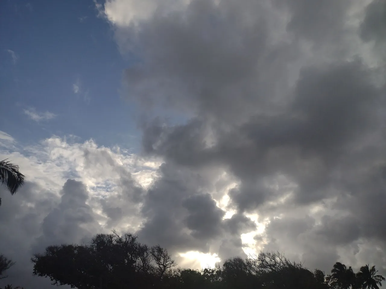 IMG_20220424_173441101.jpg