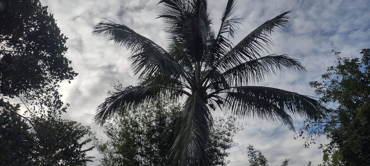 IMG_20230923_165719136_HDR.jpg