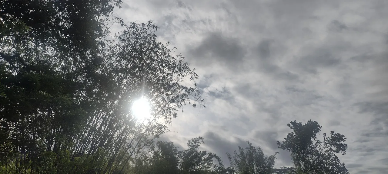 IMG_20230426_171101093_HDR.jpg