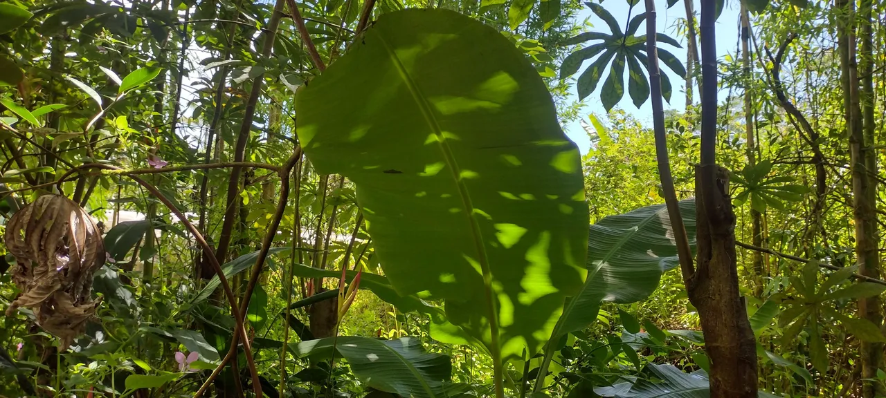 IMG_20230710_103112173_HDR.jpg