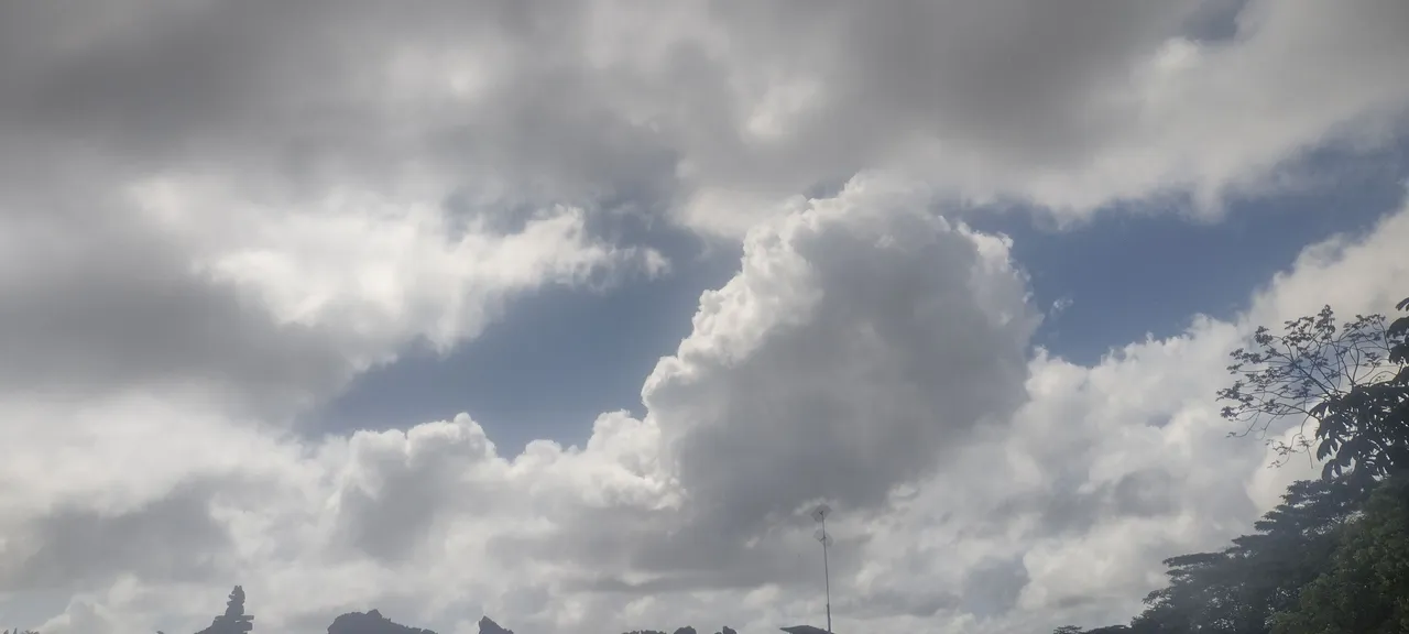 IMG_20221119_111918774_HDR.jpg