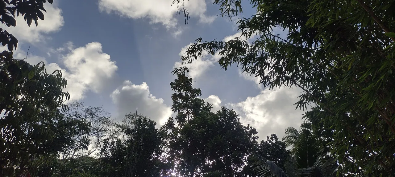IMG_20230831_171332882_HDR.jpg
