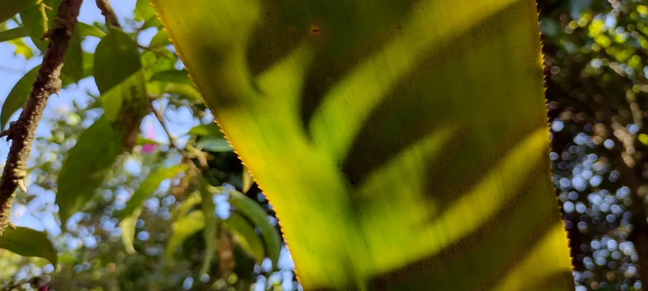 IMG_20230702_154143889_HDR.jpg