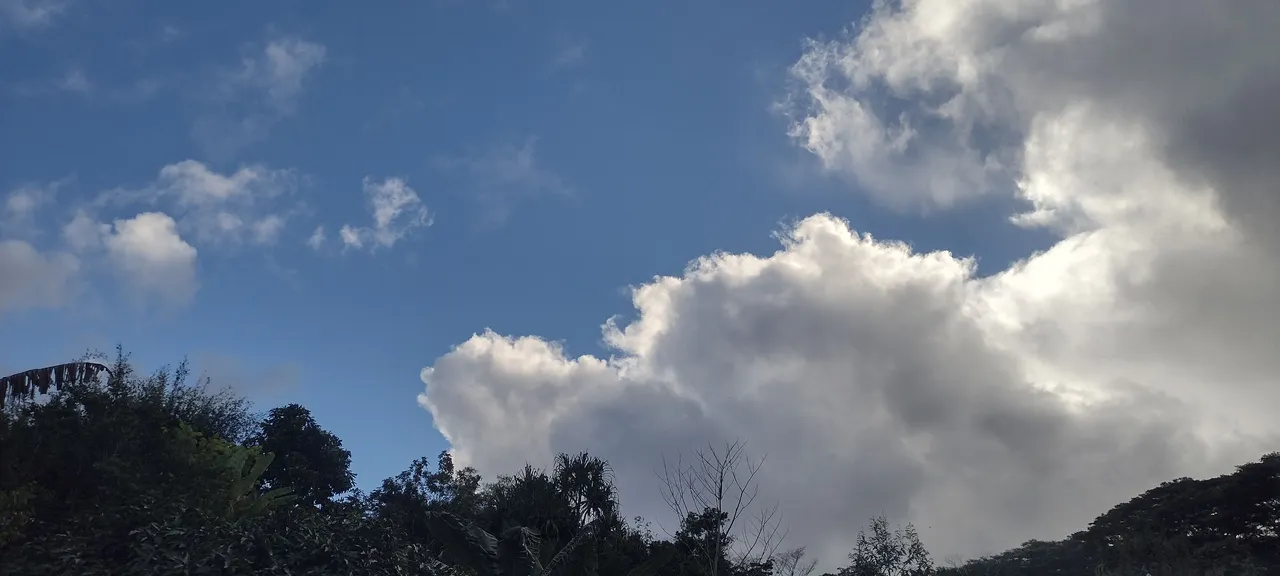 IMG_20231008_161921946_HDR.jpg