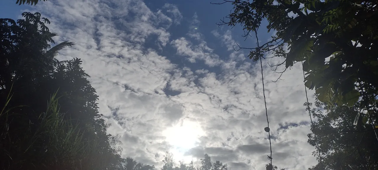 IMG_20220927_074307025_HDR.jpg