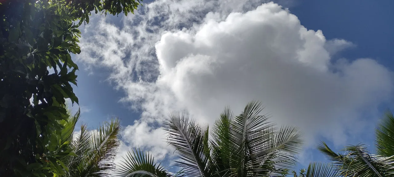 IMG_20230705_150346085_HDR.jpg