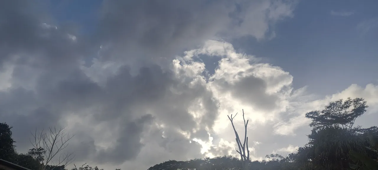 IMG_20230210_165305734_HDR.jpg
