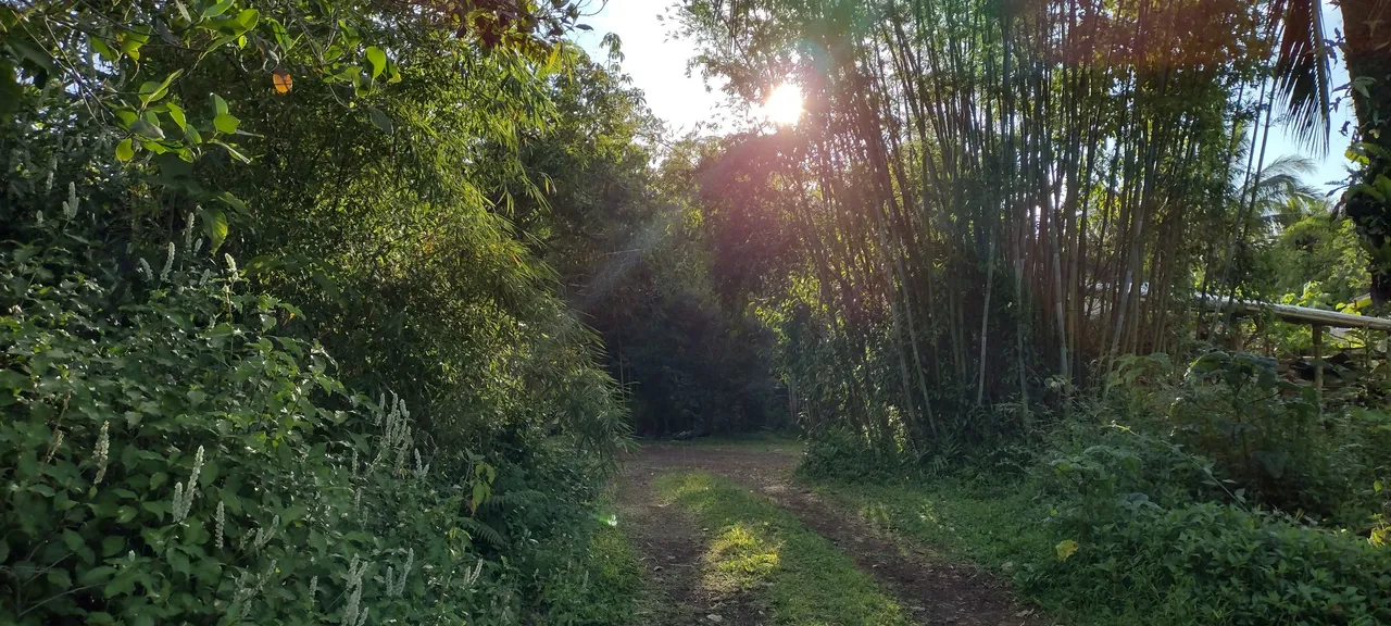 IMG_20230702_174340484_HDR.jpg
