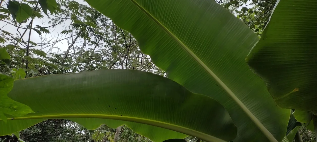 IMG_20231105_153656387_HDR.jpg