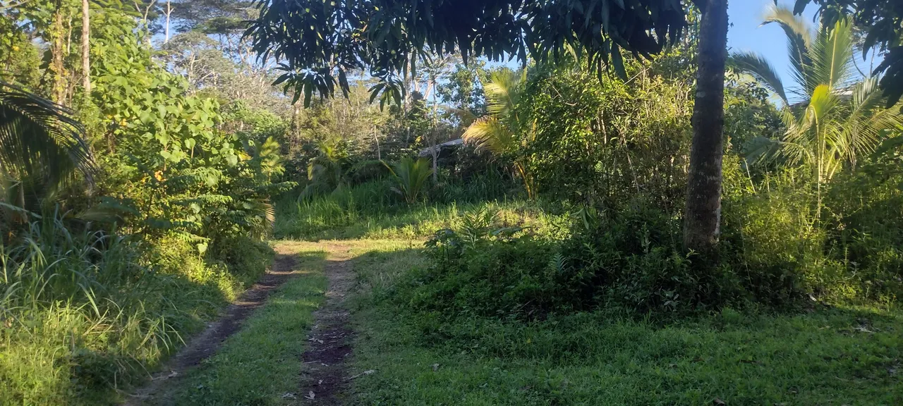 IMG_20231031_161922344_HDR.jpg