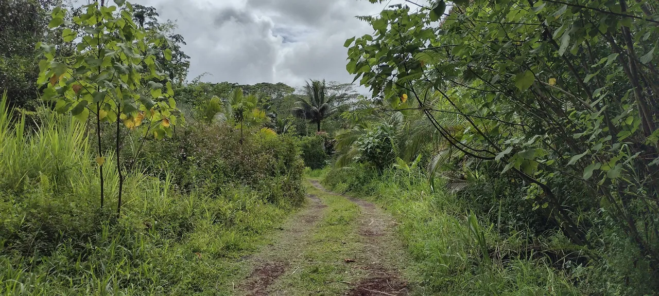 IMG_20230705_144541496_HDR.jpg