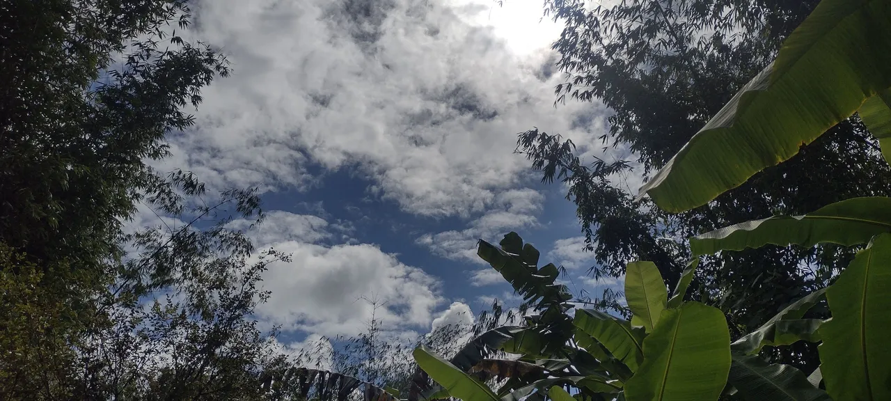 IMG_20230819_150836580_HDR.jpg