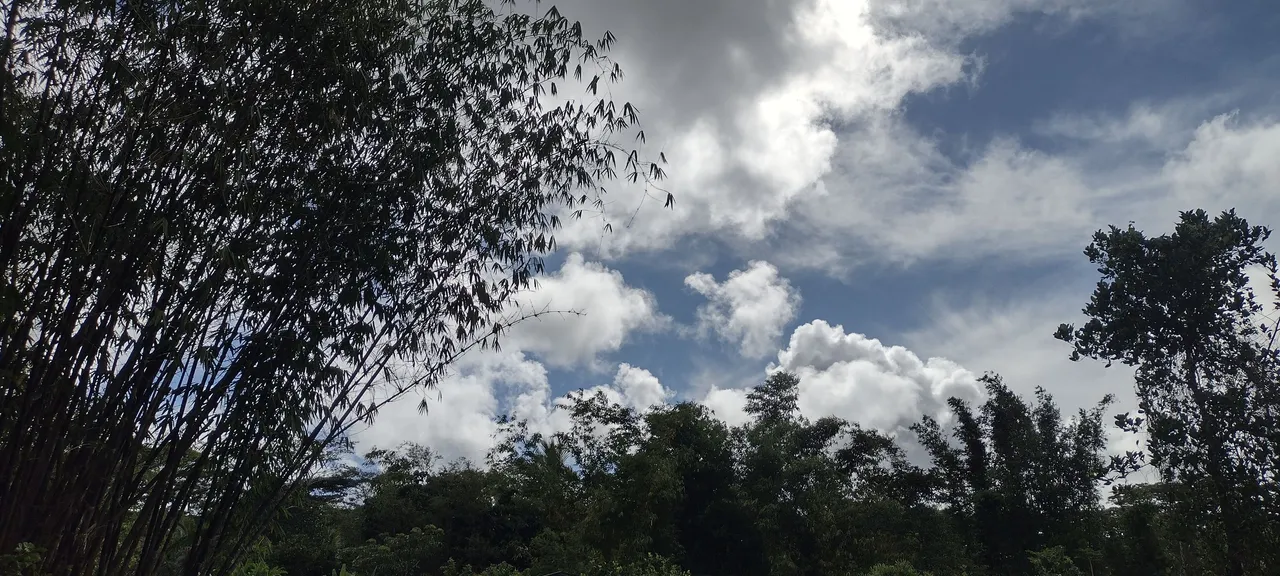 IMG_20230630_160121428_HDR.jpg