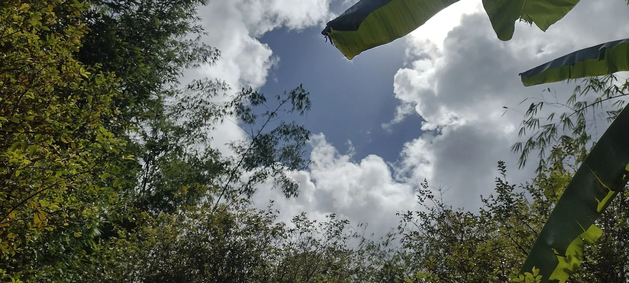 IMG_20230917_144318750_HDR.jpg