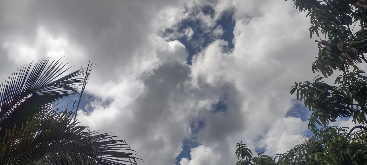 IMG_20230812_101522341_HDR.jpg