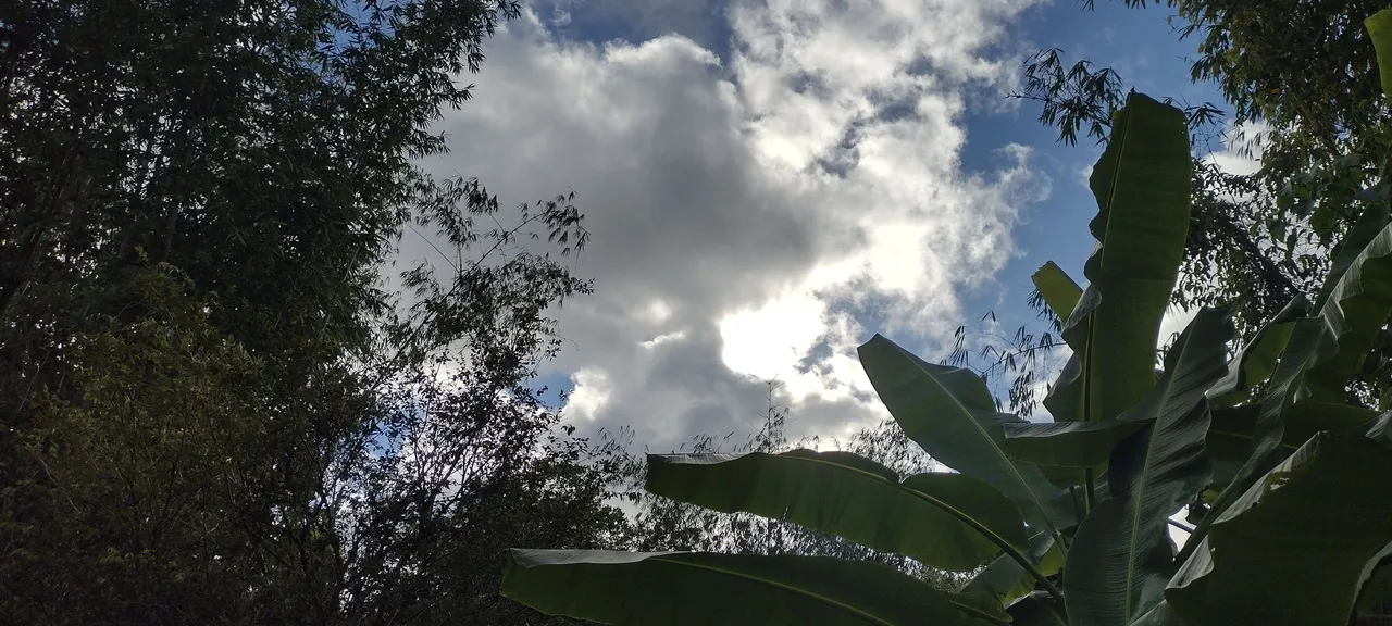 IMG_20231028_155718762_HDR.jpg