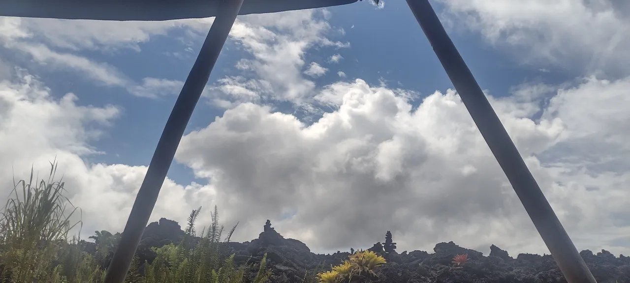 IMG_20221028_104555142_HDR.jpg