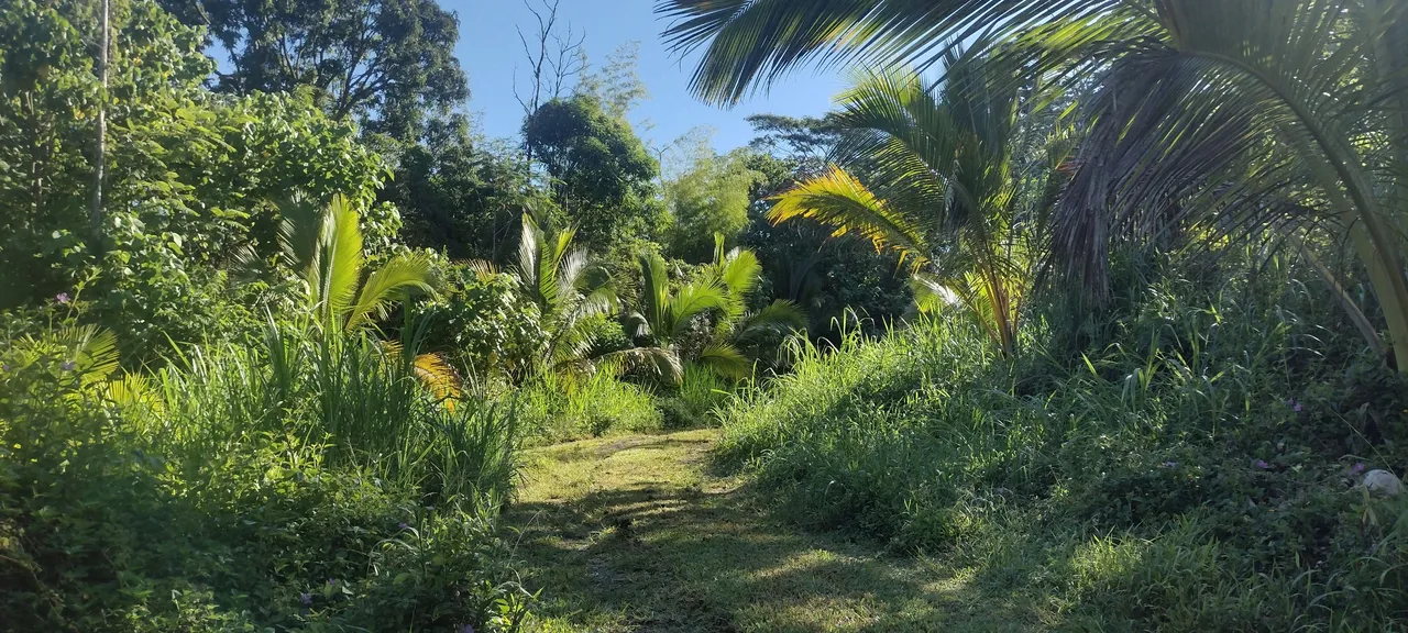 IMG_20231015_081148696_HDR.jpg