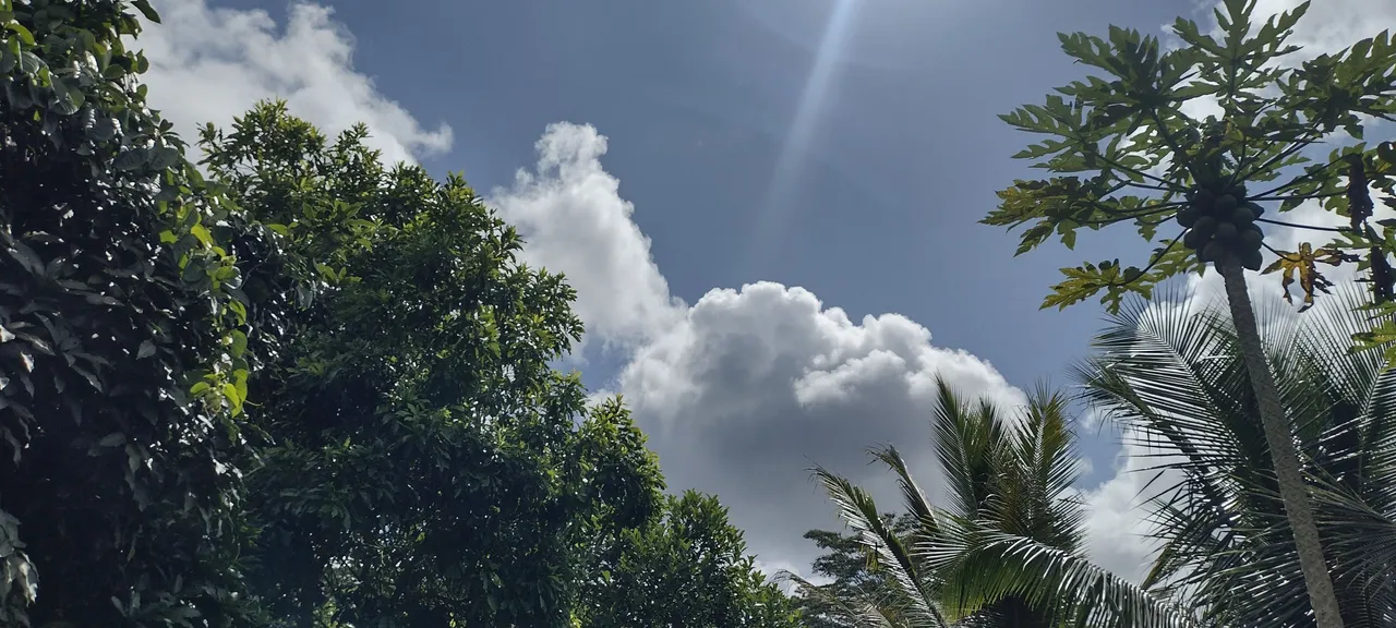 IMG_20230608_150627362_HDR.jpg