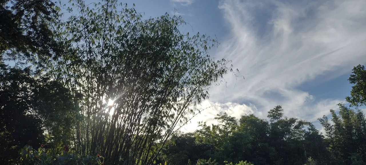 IMG_20231027_163110664_HDR.jpg