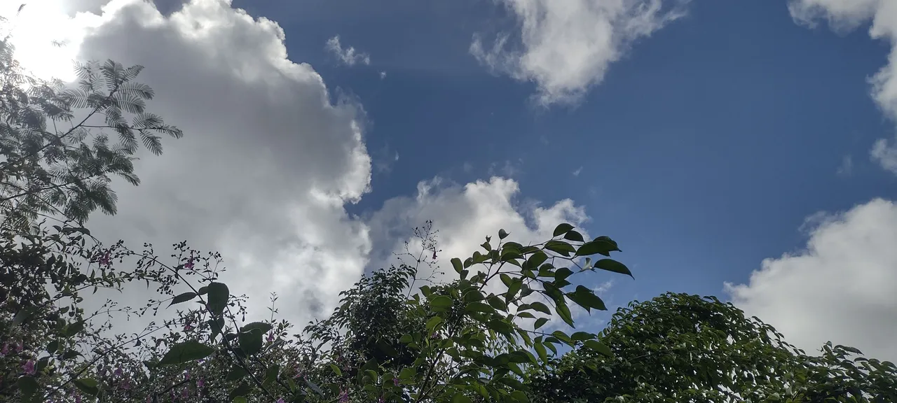 IMG_20231107_103120683_HDR.jpg