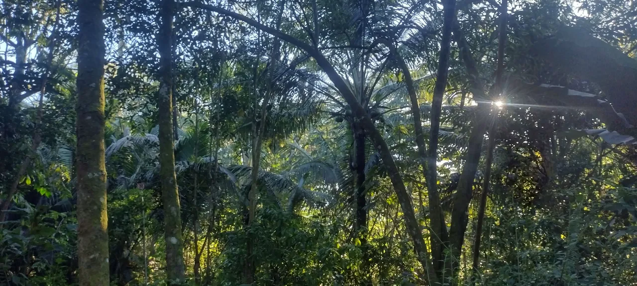 IMG_20231031_161741839_HDR.jpg