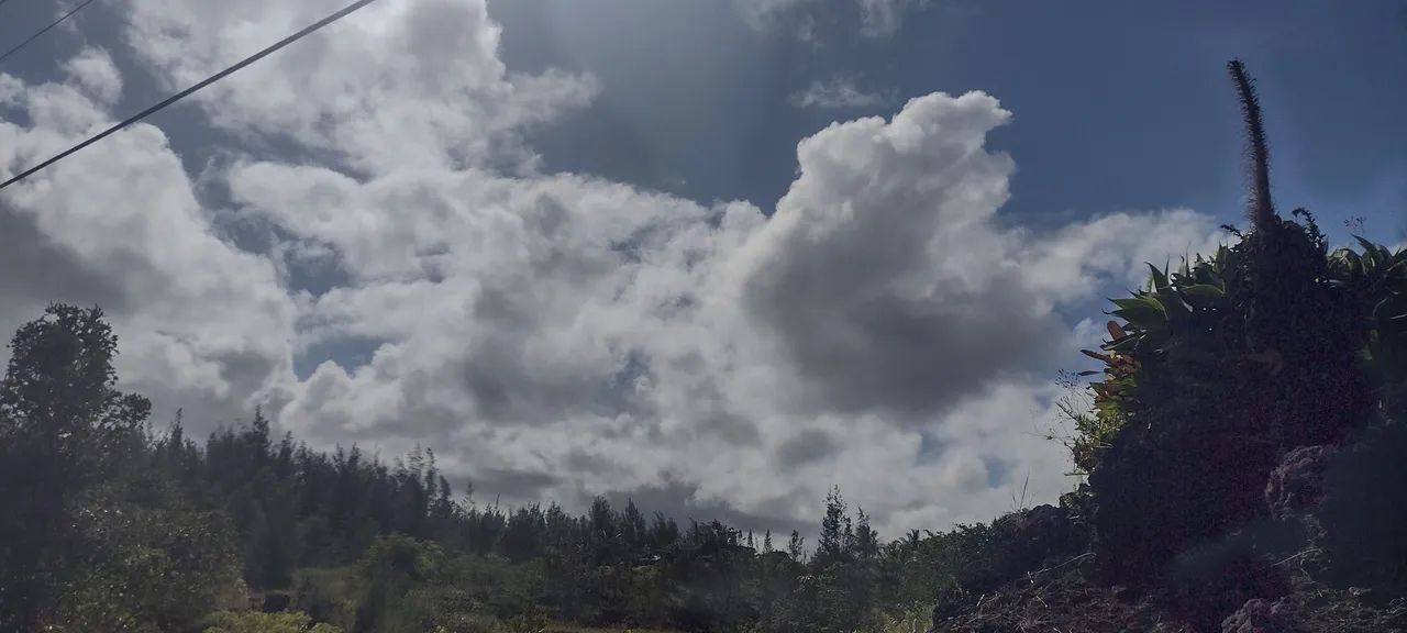 IMG_20220515_154237958_HDR.jpg