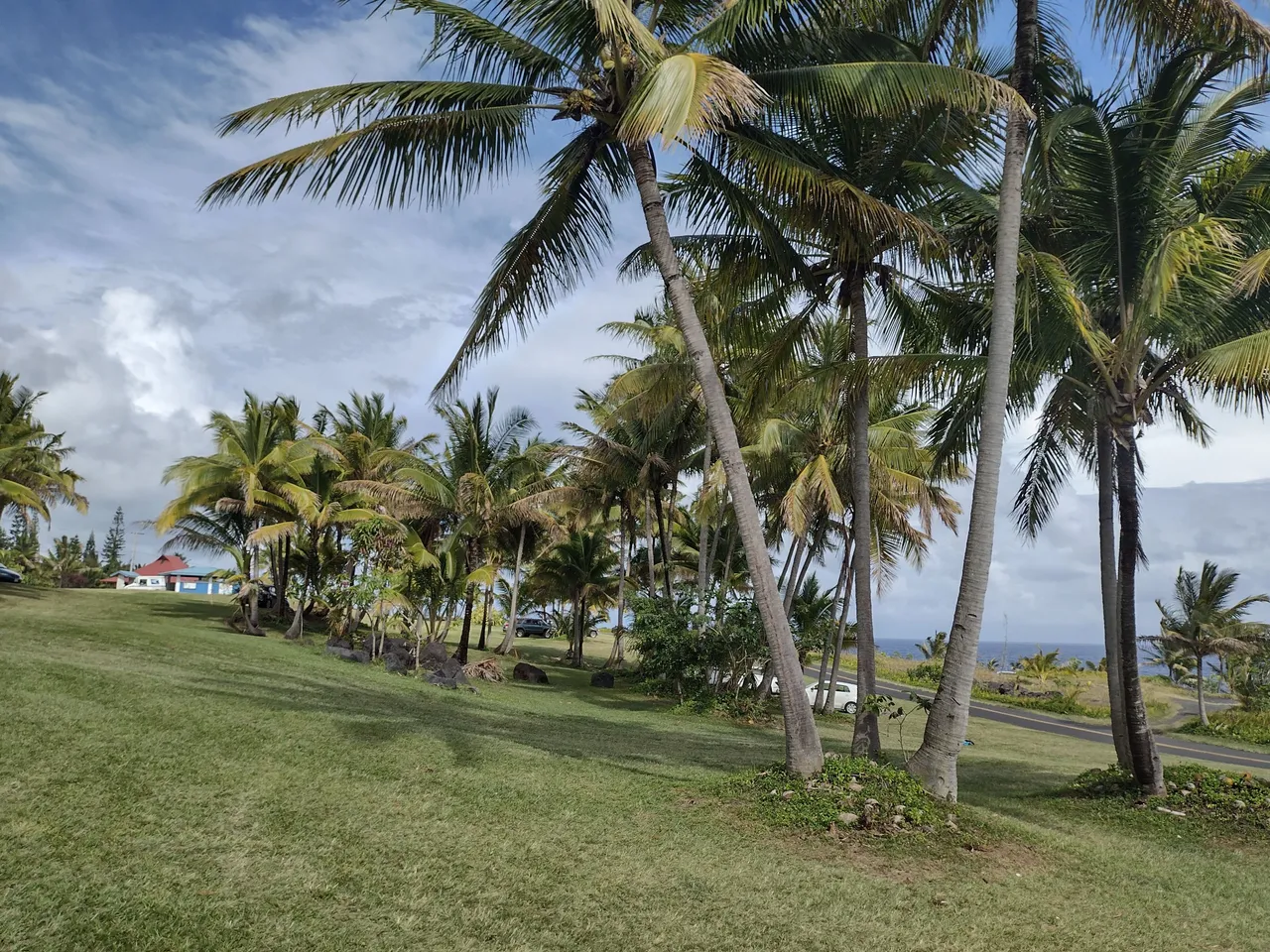 IMG_20220216_144107144_HDR.jpg