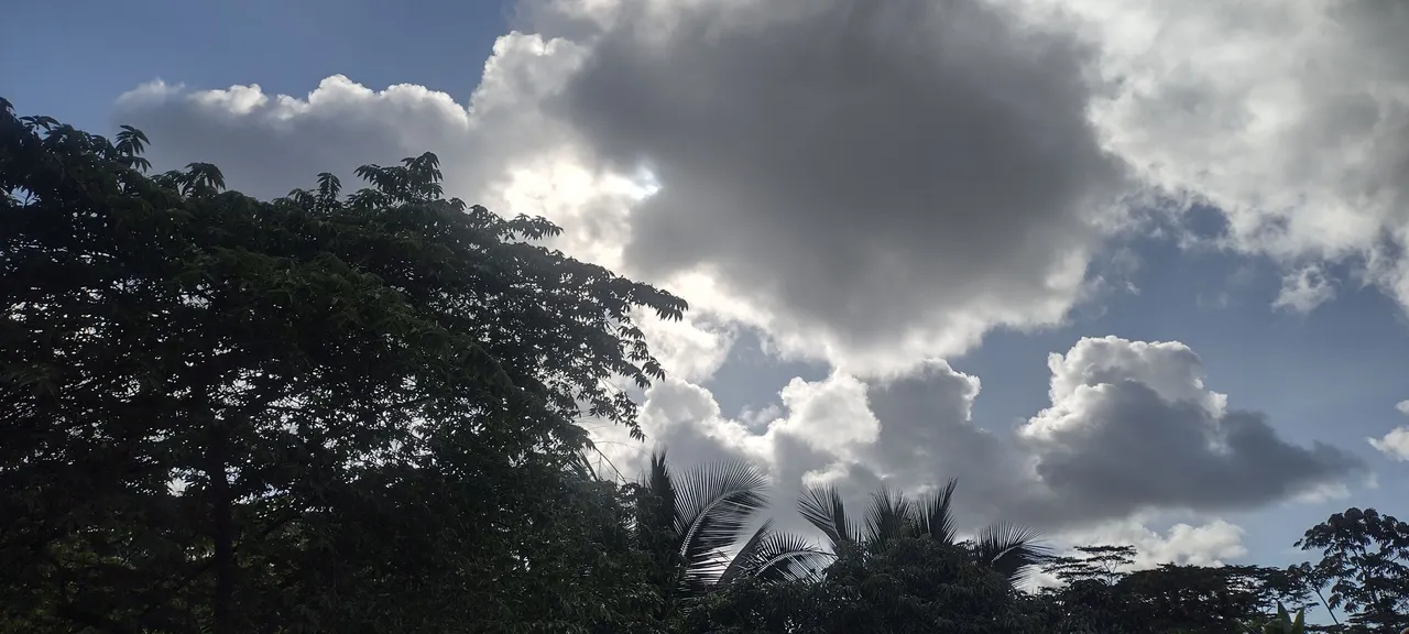 IMG_20230608_164503545_HDR.jpg