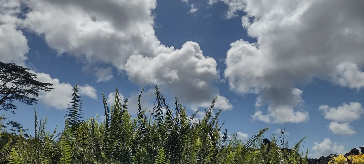 IMG_20231003_105444399_HDR.jpg
