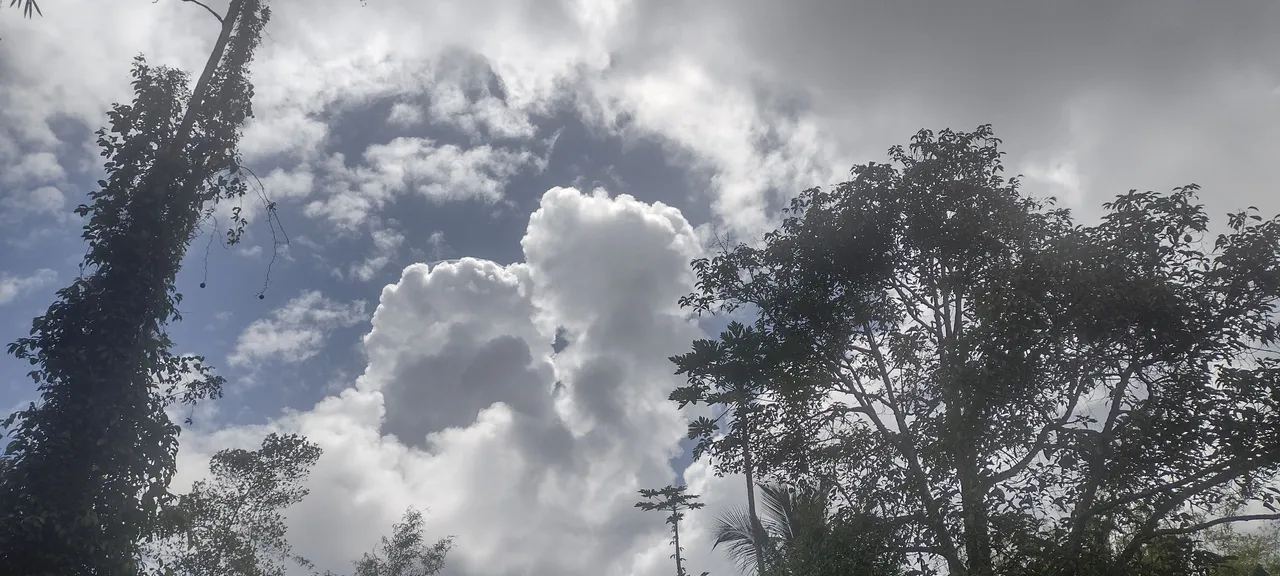 IMG_20221024_115745668_HDR.jpg